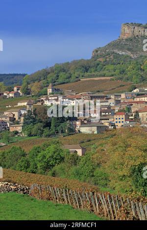 Frankreich, Saône-et-Loire (71), Solutré-Pouilly, le Village et la roche de Solutré vue depuis le vignoble Pouilly-Fuissé / Frankreich, Saône-et-Loire Solutré-Pouilly, das Dorf und der Felsen von Solutré aus dem Weinberg Pouilly-Fuissé Stockfoto