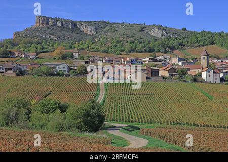 Frankreich, Saône-et-Loire (71), Solutré-Pouilly, le Village et la roche de Solutré vue depuis le vignoble Pouilly-Fuissé / Frankreich, Saône-et-Loire Solutré-Pouilly, das Dorf und der Felsen von Solutré aus dem Weinberg Pouilly-Fuissé Stockfoto