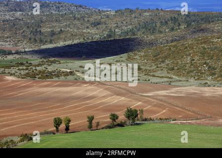 Frankreich, Lozère (48), Causse Mejean, Landschaft Stockfoto