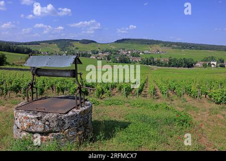 Frankreich, Saône-et-Loire, Mercurey, das Dorf vom Weinberg aus gesehen, ein Brunnen im Vordergrund Stockfoto