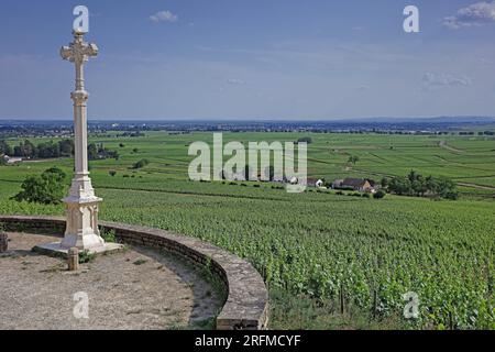 Frankreich, Côte-d'Or, Aloxe-Corton, Burgund Vineyards, Grand-Cru AOC, Panorama vom Croix Charlemagne Stockfoto