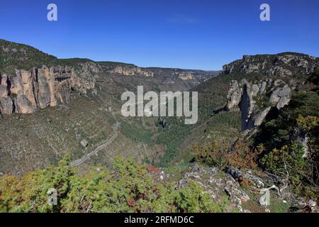 Frankreich, Departement Aveyron, Le Rozier, Veyreau, Jonte Gorges, Causse-Méjan-Vorsprung, Cevennes-Nationalpark, regionaler Naturpark Grands Causses Stockfoto