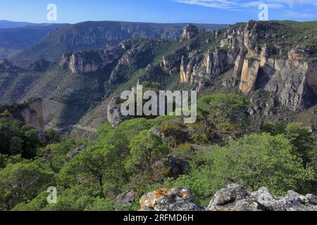 Frankreich, Departement Aveyron, Veyreau, Saint-Pierre-des-Tripiers die Jonte-Schluchten, der Cevennes-Nationalpark, der regionale Naturpark Grands Causses Stockfoto