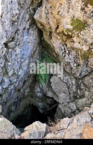 Sinkhole von Battaglietta im Park von Madonie, Sizilien, Italien Stockfoto