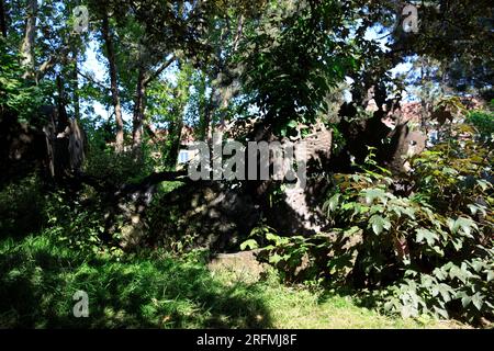 Frankreich, Region Hauts-de-France, Departement Nord, Dünkirchen, LAAC, Lieu d'Art et Action Contemporaine (Museum für zeitgenössische Kunst und Kulturzentrum), Garten der Skulpturen Stockfoto