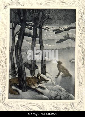 Es war kurz vor Weihnachten, als Schinken gesalzen wurden. Der Himmel war klar und sternenklar. Der Fischteich, in dem Isengrim fischen sollte, war so hart gefroren, dass man auf dem Eis tanzen konnte [...]". Ätzen von Maurice De Becque, veröffentlicht in „Le véritable roman de Renart“ (Reynard der Fuchs), veröffentlicht 1930. Stockfoto