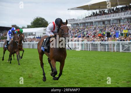 Goodwood, Großbritannien. 4. August 2023. Hamish, geritten von Tom Marquand, gewinnt die 16,10 L'Ormarins King's Plate Glourious Stakes auf der Goodwood Racecourse, Großbritannien. Kredit: Paul Blake/Alamy Live News. Stockfoto