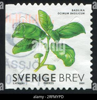 SCHWEDEN - CIRCA 2009: Von Schweden gedruckter Stempel, zeigt Basil, circa 2009 Stockfoto