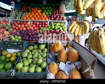 21-09-2021 Indore, M.P. Indien. Obsthintergrund wird auf dem Markt in Kartons ausgestellt, Obstsatz wird in Tablett vom Straßenverkäufer verkauft. Stockfoto