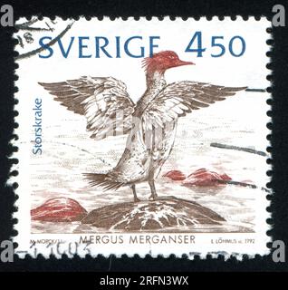 SCHWEDEN - CIRCA 1992: Von Schweden gedruckter Stempel zeigt Common Merganser, circa 1992 Stockfoto