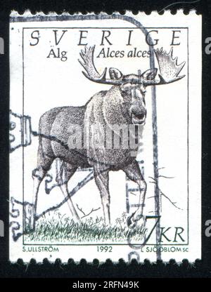 SCHWEDEN - CIRCA 1992: Von Schweden gedruckter Stempel zeigt Moose, circa 1992 Stockfoto