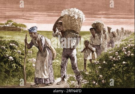 Schwarze Arbeiter, die Baumwolle vom Feld in Alabama bringen, 1880er. Illustration von Matthew Somerville Morgan (1839-1890), 1887. Gefärbt. Stockfoto