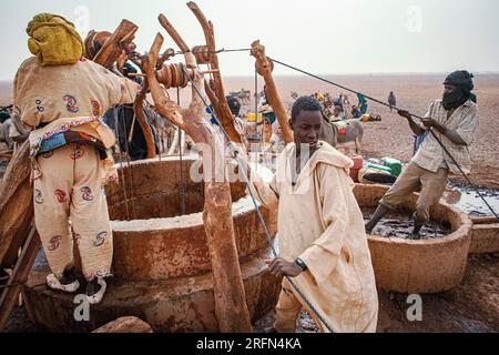 Menschen, die Wasser aus einem Wüstenbrunnen in der Sahara-Wüste bei Timbuktu in Mali, Westafrika, ziehen. Stockfoto