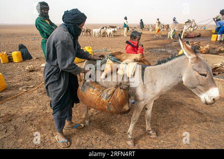 Ein Mann, der Wasser aus einem Brunnen in der sahara-Wüste bei Timbuktu in Mali, Westafrika, holt. Stockfoto