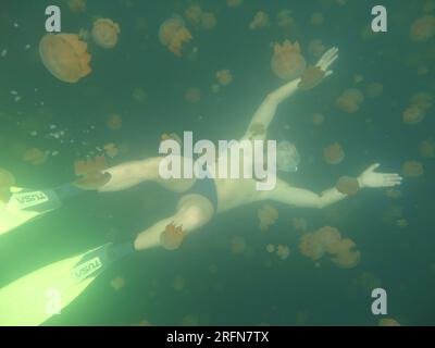 Foto eines Schnorchlers, der tagsüber zwischen Quallen im Jelly Fish Lake in Palau schwimmt Stockfoto