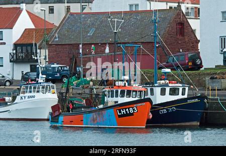 Dunbar Harbour und Fischerboote Ostküste Schottlands, einschließlich Skorpion und Fulmar entlang der Hafenmauer. Stockfoto