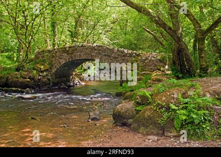 Hisley Packhorse Bridge über den Fluss Bovey Dartmoor Stockfoto
