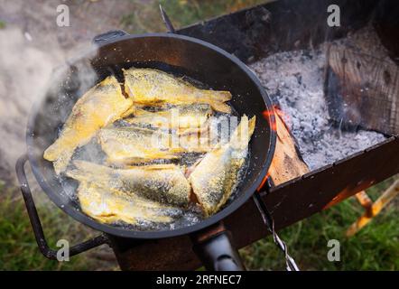 Fisch in der Pfanne über einem offenen Feuer. Sommerurlaub am See, guter Fang, frischer Fisch Stockfoto