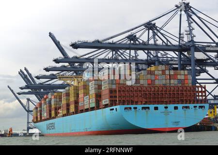 Containerschiff der Maersk Line, das im Hafen von Felixstowe in Harwich Harbour, Suffolk, England, Vereinigtes Königreich, entladen wird Stockfoto