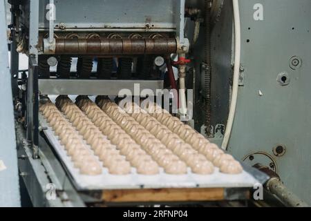 Süßwarenfabrik. Zephyr- und Marshmallows-Formverfahren. Stockfoto