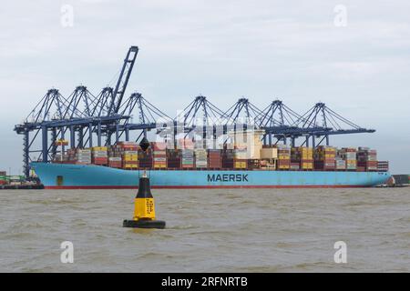 Containerschiff der Maersk Line, das im Hafen von Felixstowe in Harwich Harbour, Suffolk, England, Vereinigtes Königreich, entladen wird Stockfoto