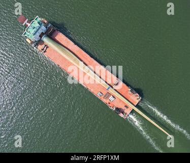 YANTAI, CHINA - 4. AUGUST 2023 - Ein Frachtschiff mit B1260A ultragroßen Offshore-Windturbinenschaufeln legt im Penglai Port Area im Yantai Port, Shan an an Stockfoto