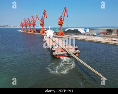 YANTAI, CHINA - 4. AUGUST 2023 - Ein Frachtschiff mit B1260A ultragroßen Offshore-Windturbinenschaufeln legt im Penglai Port Area im Yantai Port, Shan an an Stockfoto