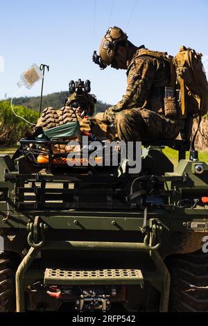 USA Navy Petty Officer 3. Class Todd Kajornkitipoom, ein Sanitäter des Krankenhauses bei India Co., 3. Bataillon, 1. Marine Regiment (verstärkt), Marine Rotational Force – Darwin 23, beurteilt einen simulierten Unfall während der Übung Talisman Sabre 23 in Proserpine, Queensland, Australien, 31. Juli 2023. Talisman Sabre ist die größte bilaterale Militäraktion zwischen Australien und den Vereinigten Staaten, mit multinationaler Beteiligung, die ein freies und offenes Indo-Pacific fördert, indem die Beziehungen und die Interoperabilität zwischen den wichtigsten Alliierten gestärkt und unsere kollektiven Fähigkeiten verbessert werden, auf eine breite ar zu reagieren Stockfoto