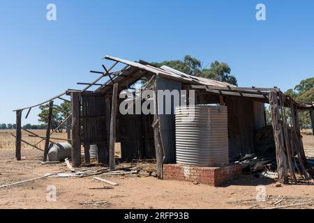 Ruinen eines alten Bauernhofs mit einem Wellpanzer unter klarem blauen Himmel im Campbells Forest in Central Victoria, Australien Stockfoto