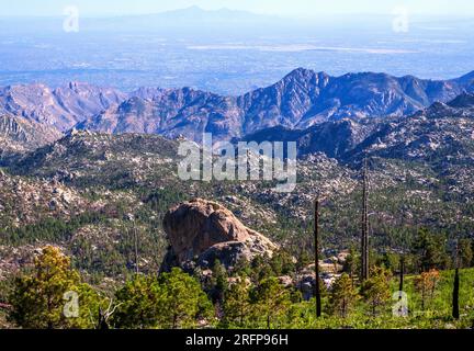 Der Meadow Trail bietet einen Blick auf Tucson im August, Mount Lemmon, Santa Catalina Mountains, Coronado National Forest, Summerhaven, Arizona, USA. (PHO Stockfoto