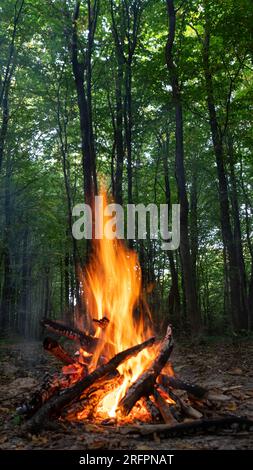 Brennendes Feuer. Der Brand brennt im Wald. Struktur des brennenden Feuers. Lagerfeuer zum Kochen im Wald. Brennende trockene Äste. Touristenbrand im F. Stockfoto