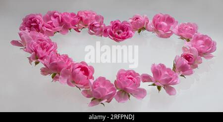 Hintergrund zum Valentinstag. Herzförmiger Strauß mit wunderschönen rosa Rosenblumen. Stockfoto