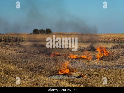 Verbrennung landwirtschaftlicher Abfälle - Smog und Verschmutzung. Schädliche Emissionen aus Heu- und Strohverbrennung auf landwirtschaftlichen Feldern. Stockfoto
