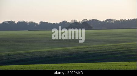 Panorama des sommerlichen Grünfeldes. Europäische Landschaftsperspektive. Wunderschöne Landschaft mit Weizenfeld und grünem Gras mit atemberaubendem Himmel. Stockfoto