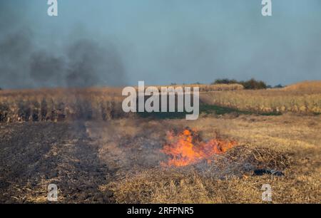 Verbrennung landwirtschaftlicher Abfälle - Smog und Verschmutzung. Schädliche Emissionen aus Heu- und Strohverbrennung auf landwirtschaftlichen Feldern. Stockfoto