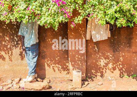 Am Fuße einer ockerfarbenen Mauer steht ein Mann geschützt vor der Sonne unter einer blühenden Bougainvillea. Jinja, Uganda. Stockfoto