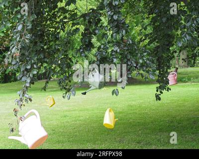 Wasserkannen hängen an einem Baum über einem Rasen, um die Wasserknappheit zu symbolisieren Stockfoto