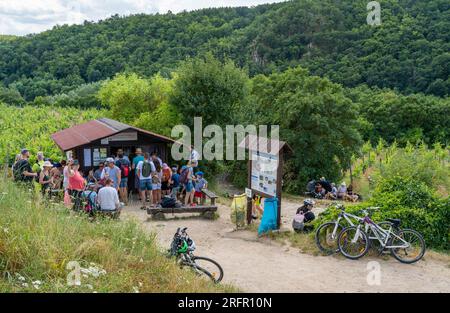 Znojmo, Tschechische Republik, 06.07.2023, Touristen probieren lokalen Wein an einem kleinen Stand im Tal mit Weinbergen rund um den Fluss Dyje Stockfoto