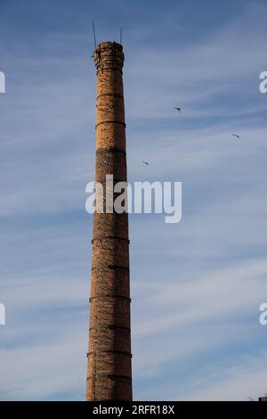 Alte Fabrik oder Großunternehmen, Ziegelschornsteine, die nach dem Himmel greifen. Stockfoto