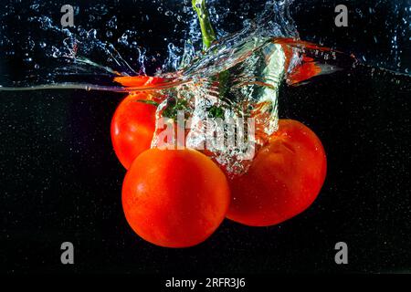 Frische rote Tomate, die ins Wasser fällt, mit Wasserspritzer und Luftblasen auf schwarzem Hintergrund. Stockfoto