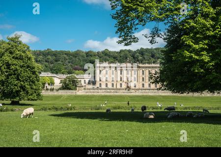 Baldachin von Chatsworth Raymond Boswell Stockfoto