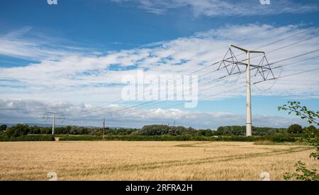 T-Pylonen an der neuen Freileitung Tickenham nach Portishead 400.000 Volt, Vereinigtes Königreich Stockfoto