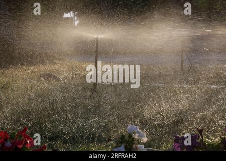 Automatischer Rasenregner zur Bewässerung von grünem Gras. Gartenbewässerungssystem. Stockfoto