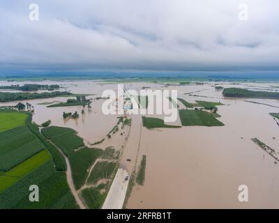 (230805) -- HARBIN, 5. August 2023 (Xinhua) -- Dieses Luftfoto wurde am 5. August 2023 aufgenommen und zeigt überflutete Felder und Straßen in der Provinz Yanshou in Harbin, Nordostchina, Provinz Heilongjiang. Ausgelöst durch sintflutartige Regenfälle in der Stadt Mudanjiang und der Provinzhauptstadt Harbin, haben die Wasserstände einiger Flüsse hier den Warnwasserstand überschritten. Rettungsteams, darunter örtliche Feuerwehrleute und Waldbrandwehrleute, wurden entsandt, um bei der Rettung und Hilfe zu helfen. Die 24-Stunden-Patrouillen auf den Dämmen wurden durchgeführt, um Risiken zu kontrollieren, und die Überschwemmungen betrafen die Bewohner h Stockfoto