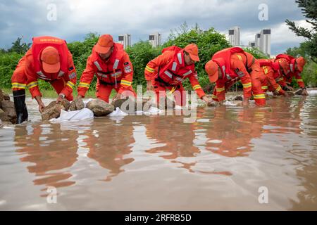 (230805) -- HARBIN, 5. August 2023 (Xinhua) -- Feuerwehrleute transferieren Steine, um Überschwemmungen in der Nähe des Dawan-Dorfes im Dong'an-Bezirk, Mudanjiang, nordöstliche Chinas Provinz Heilongjiang, 5. August 2023 zu blockieren. Ausgelöst durch sintflutartige Regenfälle in der Stadt Mudanjiang und der Provinzhauptstadt Harbin, haben die Wasserstände einiger Flüsse hier den Warnwasserstand überschritten. Rettungsteams, darunter örtliche Feuerwehrleute und Waldbrandwehrleute, wurden entsandt, um bei der Rettung und Hilfe zu helfen. Die 24-Stunden-Patrouillen auf den Dämmen wurden durchgeführt, um die Risiken zu kontrollieren, und die Überschwemmungen haben Stockfoto