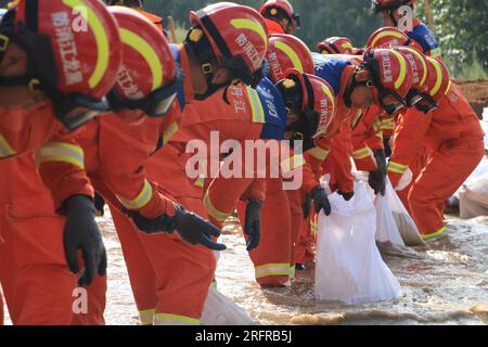 (230805) -- HARBIN, 5. August 2023 (Xinhua) -- Feuerwehrleute bringen Sandsäcke in den Yangming-Bezirk Mudanjiang, Provinz Heilongjiang im Nordosten Chinas, 5. August 2023. Ausgelöst durch sintflutartige Regenfälle in der Stadt Mudanjiang und der Provinzhauptstadt Harbin, haben die Wasserstände einiger Flüsse hier den Warnwasserstand überschritten. Rettungsteams, darunter örtliche Feuerwehrleute und Waldbrandwehrleute, wurden entsandt, um bei der Rettung und Hilfe zu helfen. Die 24-Stunden-Patrouillen auf den Dämmen wurden durchgeführt, um die Risiken zu kontrollieren, und die Überschwemmungen, von denen die Bewohner betroffen waren, wurden umgesiedelt. Stockfoto