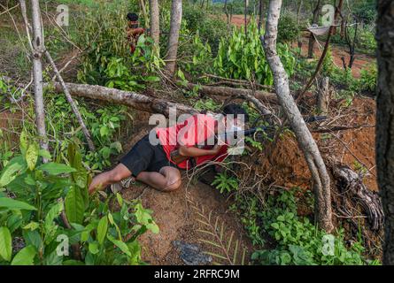 23. Juni 2023, Churachandpur, Manipur, Indien: Ngaizuol, 23 Jahre alt, eine bewaffnete Kuki-Jugend, versteckt sich im Dschungel während eines Trainingsprogramms in einem Dorf in der Nähe eines Basislagers in Churachandpur im nordöstlichen indischen Staat Manipur. Um ihre Selbstverteidigungspflichten effektiv zu erfüllen, werden die Freiwilligen des Dorfes Kuki rigoros geschult. In diesem Prozess lernen sie die grundlegenden Fähigkeiten des Handhabens von Schusswaffen, wie man ein Gewehr benutzt, wie man es nachlädt, wie man sich vor dem Feind versteckt, wie man ein Messer im Nahkampf mit dem Feind benutzt, was als letztes Mittel benutzt werden kann usw. Diese jungen Freiwilligen sind älter als zwei Jahre Stockfoto