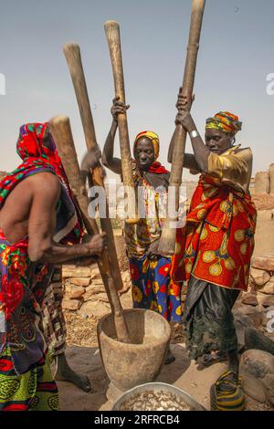 Dogonfrauen schlagen Hirse im Dorf Teli, Dogonland, Mali, Westafrika. Stockfoto