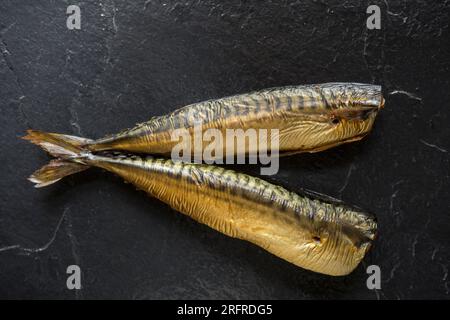 Heiße geräucherte Makrele, Scomber scombrus, auf dunklem Schieferhintergrund. England GB Stockfoto