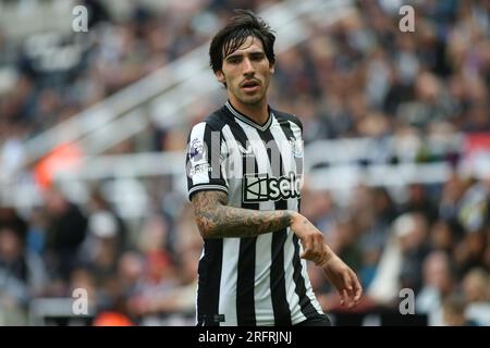 Sandro Tonali von Newcastle United während des Sela-Cup-Spiels zwischen Newcastle United und ACF Fiorentina in St. James's Park, Newcastle, Samstag, den 5. August 2023. (Foto: Michael Driver | MI News) Guthaben: MI News & Sport /Alamy Live News Stockfoto